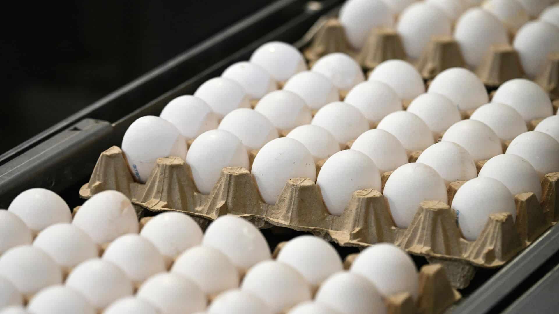 яиц из-за риска заражения сальмонеллой