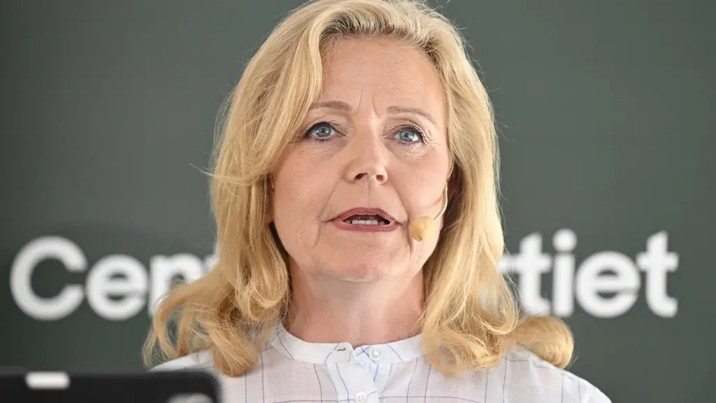 https://www.sverigesradio.se/artikel/c-gor-de-forsta-15-000-kronorna-i-manaden-skattefria