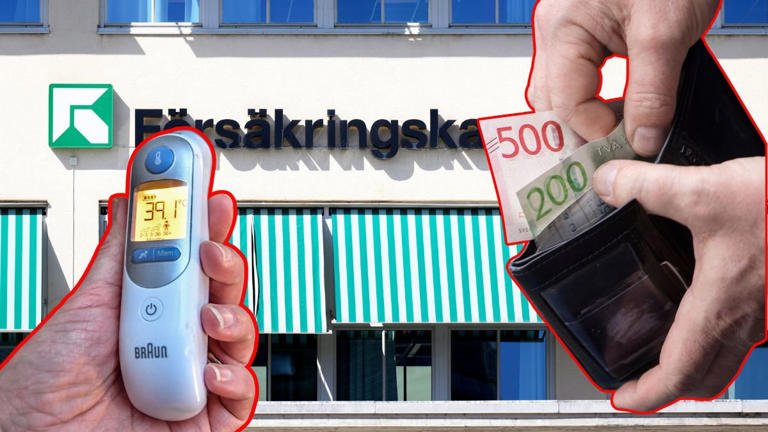 Försäkringskassan В Швеции